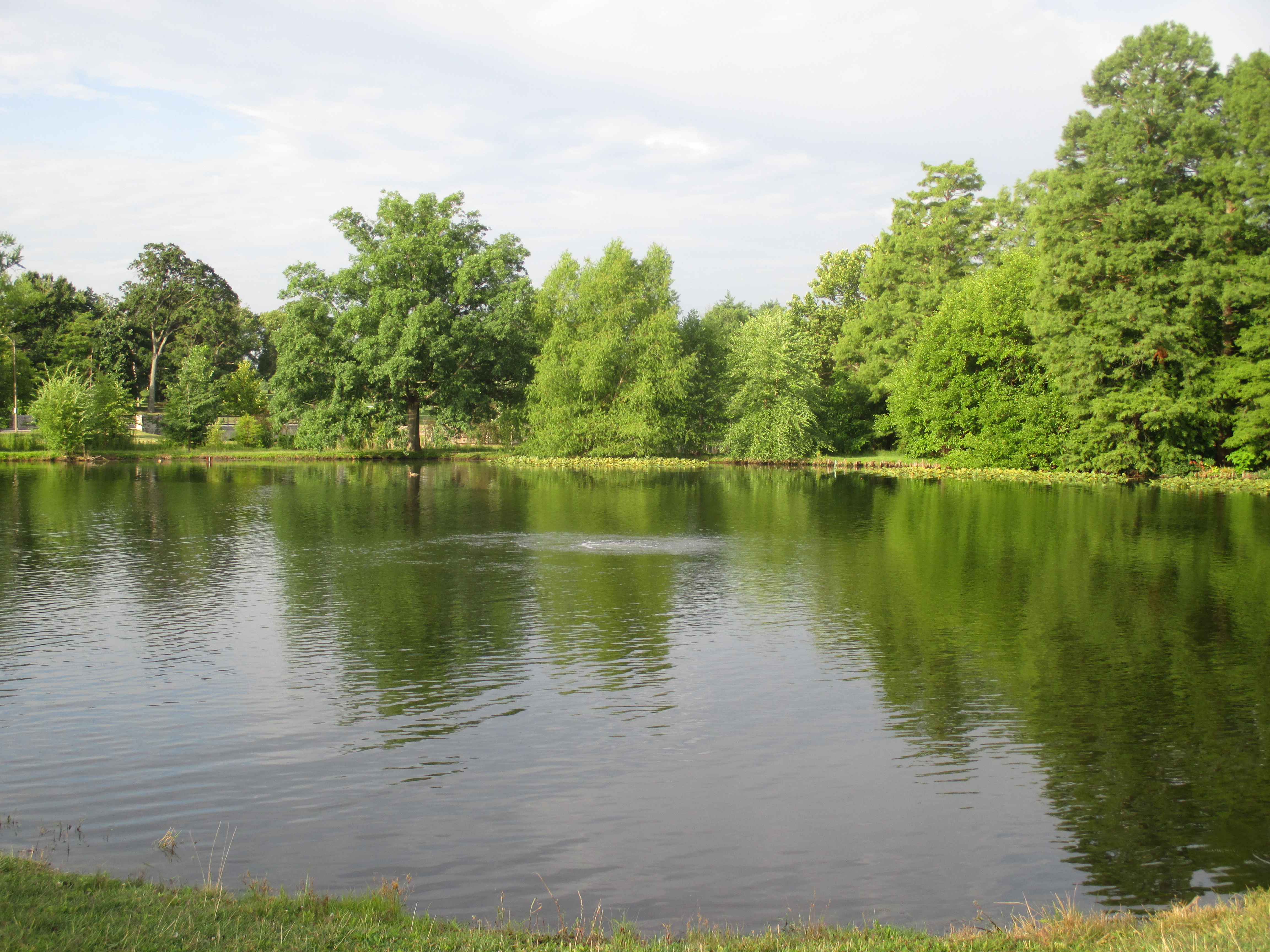 fish-hatchery-forest-park-forever